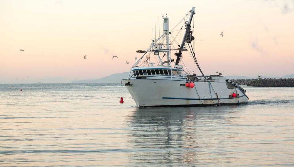 Omega Protein Settles Lawsuit with Injured Workers - A yacht in the middle of the sea