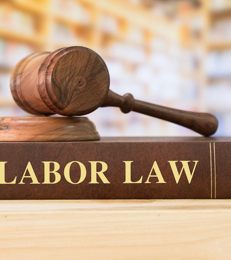 Gavel & Labor Law Book