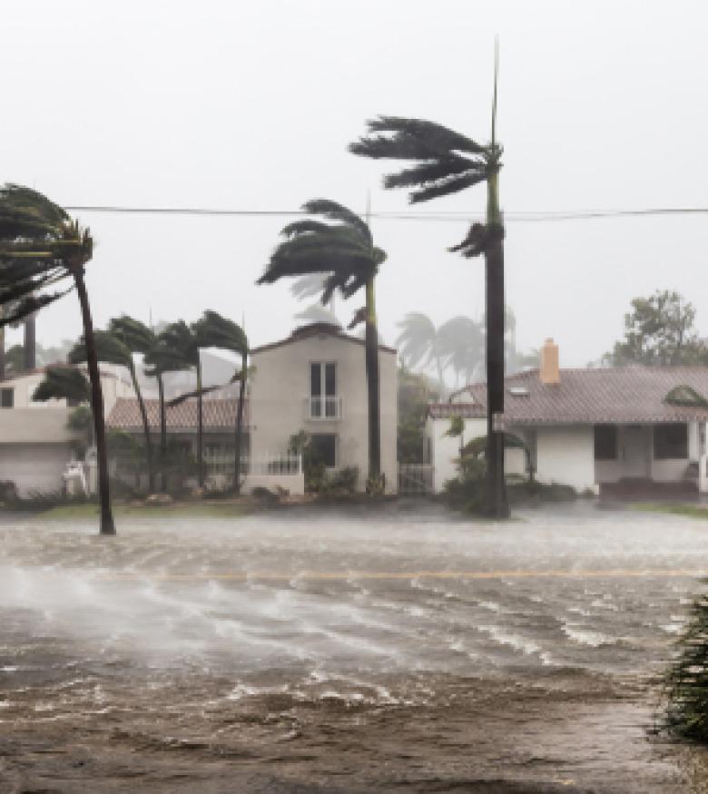 Hurricane Ian Damage Lawyer in Tampa - hurricane