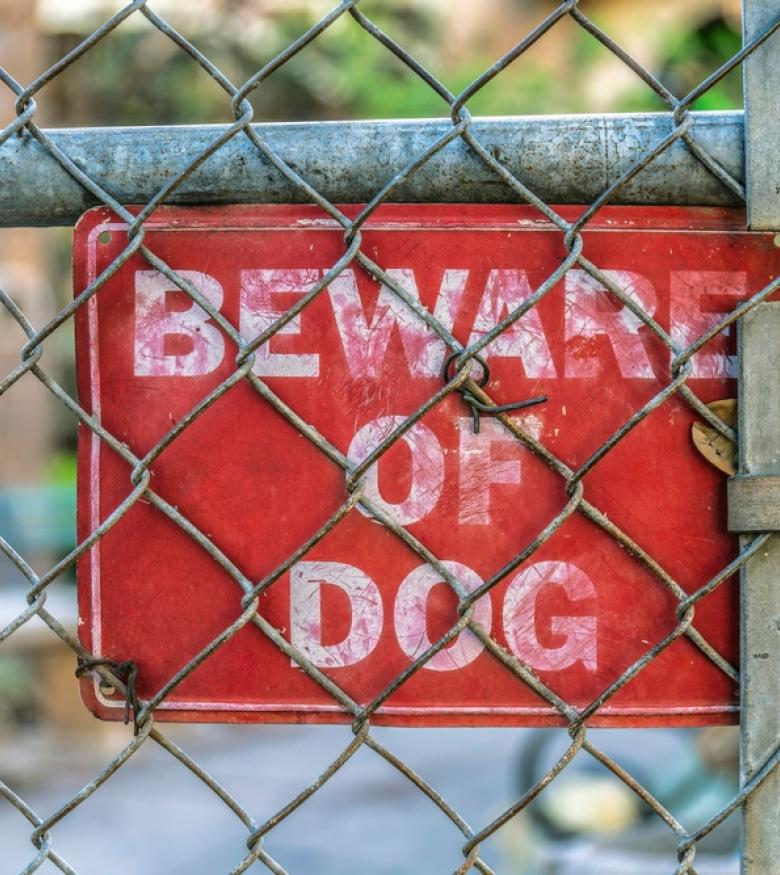Dog Bite Attorney in Jersey City - Dog Bite