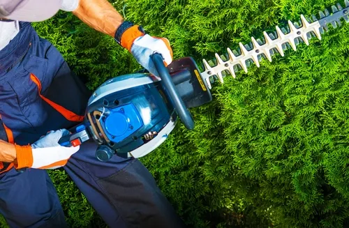 Chervon North America Recalls 85,000 Hedge Trimmers Over Laceration Risk - hedgetrimmers