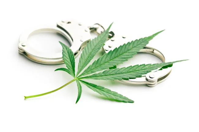 orlando marijuana laws