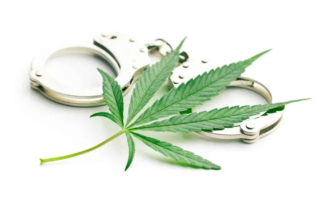 daytona beach marijuana decriminalization